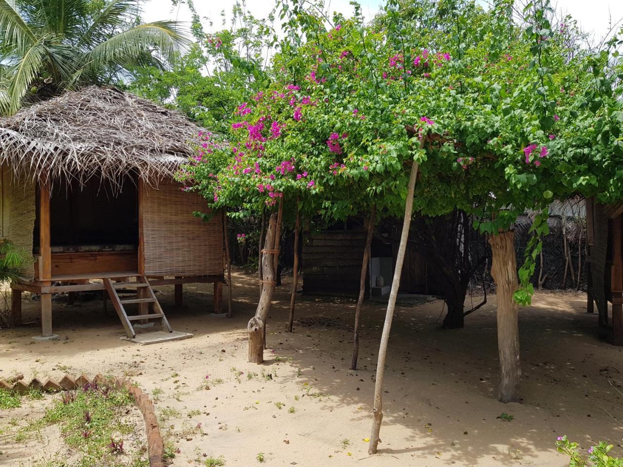 Albero Cabanas อารูกัมเบย์ ภายนอก รูปภาพ