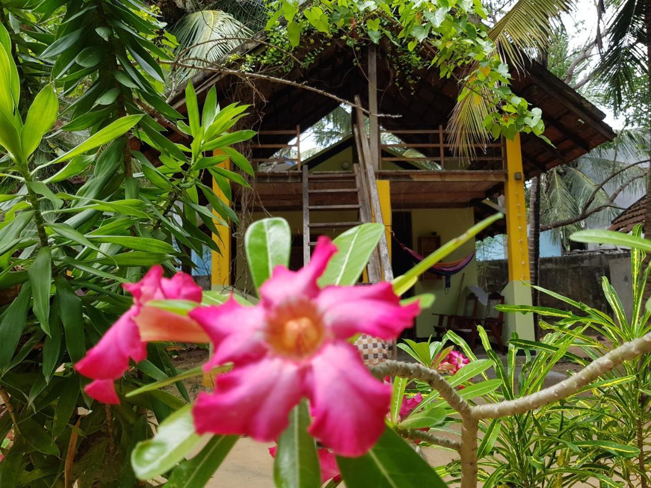 Albero Cabanas อารูกัมเบย์ ภายนอก รูปภาพ